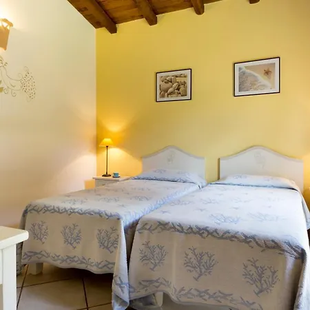 Aligusta Vila *